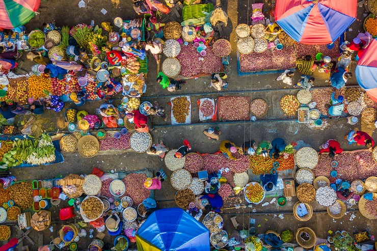 festival foods weekly ad